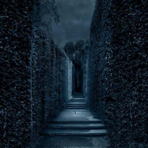 maze (feat. Camro) (Explicit)