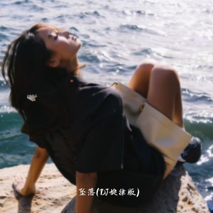 坠落 (DJ旋律版)