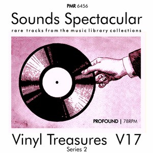 Vinyl Treasures, Series 2, Volume 17