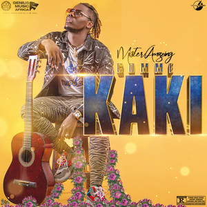 Comme Kaki (Explicit)