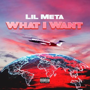 What I Want (Explicit)