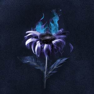 If You Fall (Slowed)