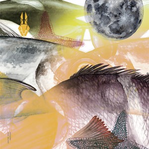 The Far Center (Edward Remix)