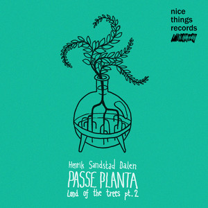 Land of the trees, pt. 2