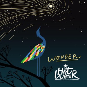 Wonder