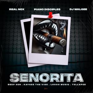 Senorita (feat. Tellapee, DJ Walgee, Piano Disciples & Locco Musiq)