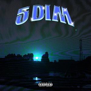 5 Dim (Explicit)