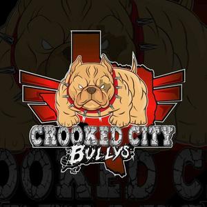 Crooked City Bullys (feat. Johnny Moog & J-Feria) [Explicit]