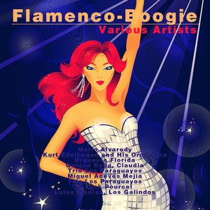 Flamenco-Boogie