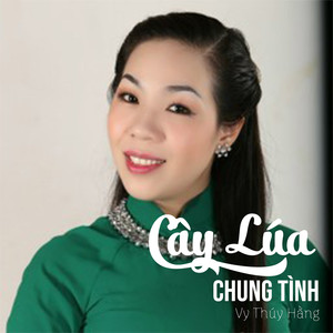 Cây Lúa Chung Tình #1
