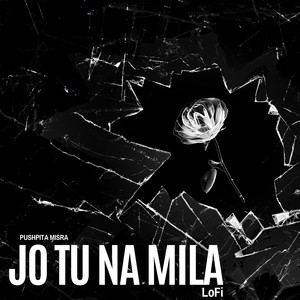 Jo Tu Na Mila (LoFi)