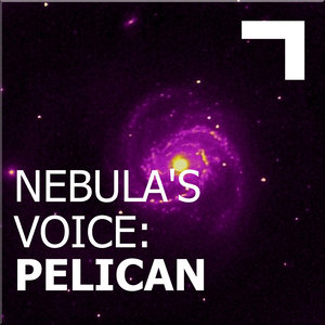 Nebula's Voice: Pelican