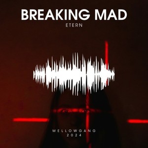 Breaking Mad (Original Mix)