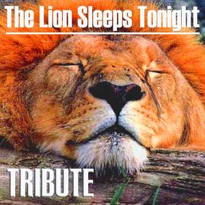 The Lion Sleeps Tonight