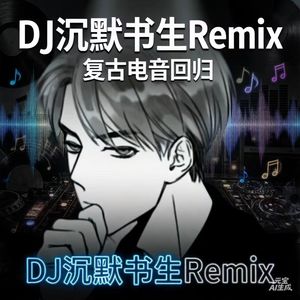 我是不是你最疼爱的人 (沉默书生Remix)