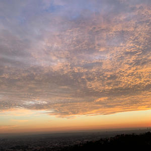 Too Much Dough (Explicit)