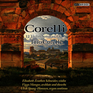 Sonata 1 in D major: I. Grave - Allegro - Adagio