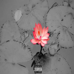 Lotus (Explicit)