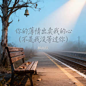 你的薄情出卖我的心(不是我没等过你)