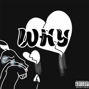 Why (feat. Trapzz)