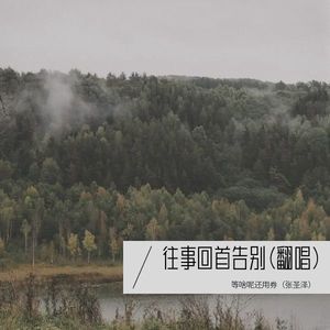 往事回首告别