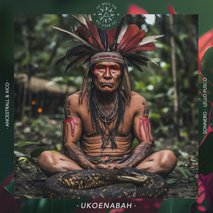 Ukoenabah (Sonnero Remix)