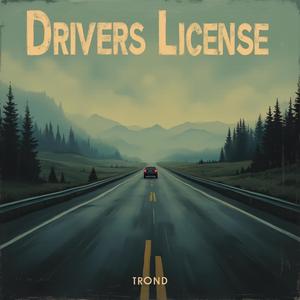 Drivers License