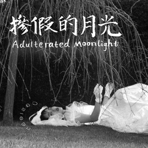 Adulterated Moonlight (Explicit)