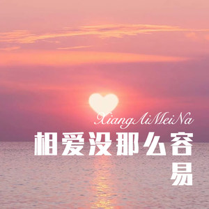 相爱没那么容易 (Remix)