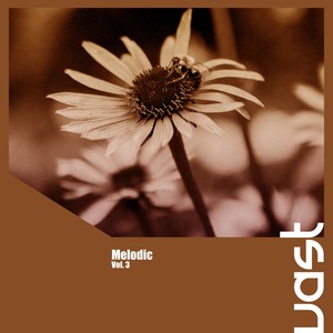 Melodic, Vol. 3