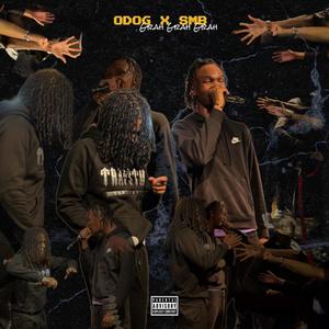 I DON'T LIKE (feat. Odog) (Explicit)