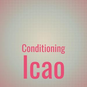 Conditioning Icao