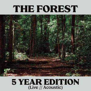 The Forest (5 Year Edition)