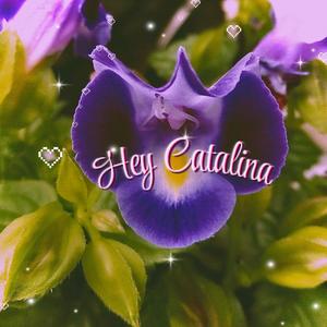 HEY CATALINA (Explicit)