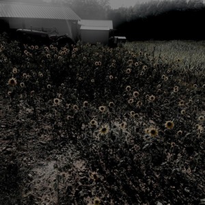 Mystery Girl (Explicit)