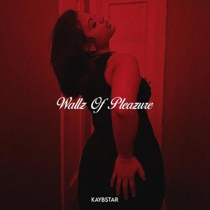 Wallz Of Pleazure (Explicit)