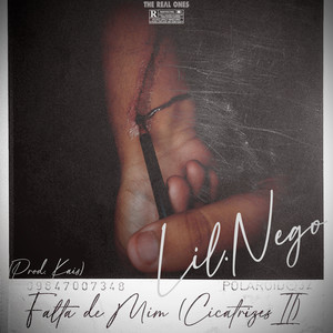 Falta de Mim (Cicatrizes II)