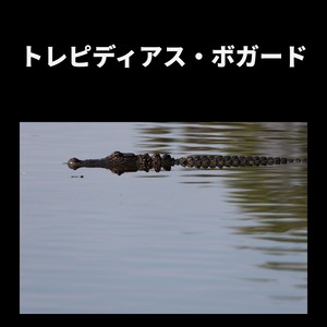 Please, Let's Take a Picture Together