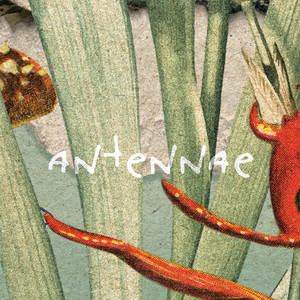Antennae