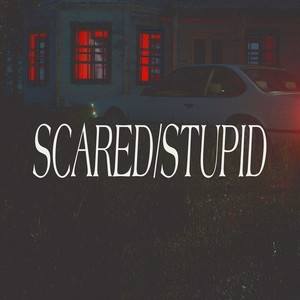 Scared/Stupid (Explicit)