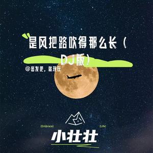 是风把路吹得那么长 (DJ版)