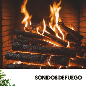 Sonidos de Fuego: Serene Sounds for Restful Nights