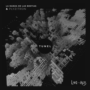 Tunel