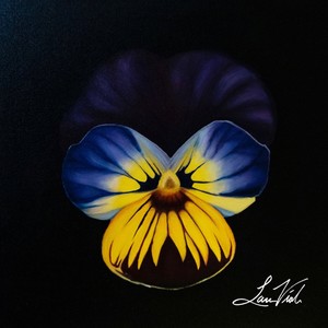 Dirty Roses(feat. Shacar) (Explicit)