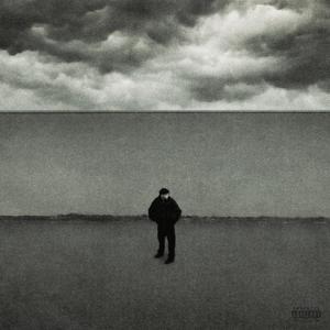 Sei scemo o cosa ? (feat. Swaelars) (Explicit)