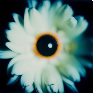 Hope Bomb (feat. namestage6) (Explicit)