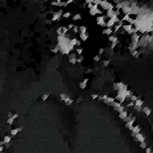 Stoned age - 44 Gatti (Explicit)