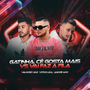 GATINHA, CÊ GOSTA MAIS VS VAI FAZ A FILA (feat. VALKIRIO VAZ & ANDRÉ MPC)