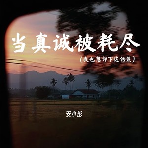 当真诚被耗尽 (我也想卸下这伪装)