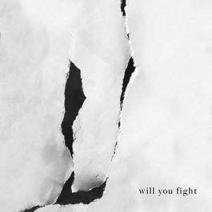 Will You Fight